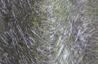 Park Barn fibreglass roof work